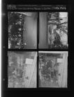 Grifton Christmas parade; window display (4 Negatives (December 6, 1958) [Sleeve 16, Folder d, Box 16]